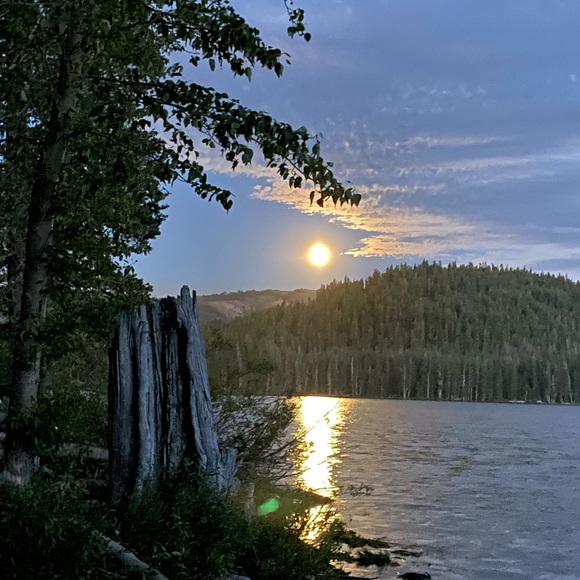 Meet your Posher, Lindsay - Picture 12 of 15